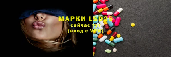 хмурый Алзамай