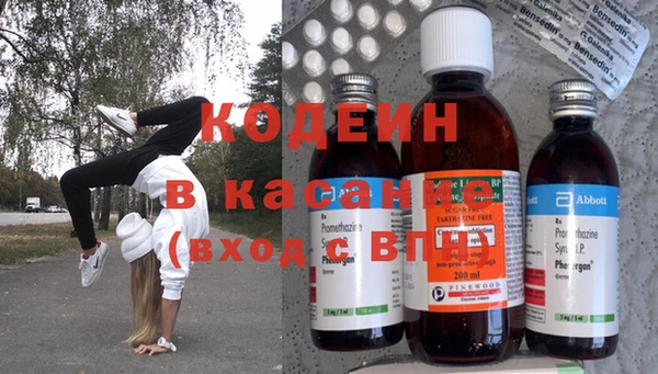 хмурый Алзамай