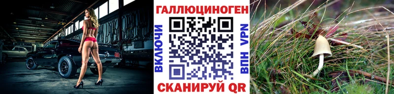 Галлюциногенные грибы Psilocybine cubensis  магазин продажи   Канск 