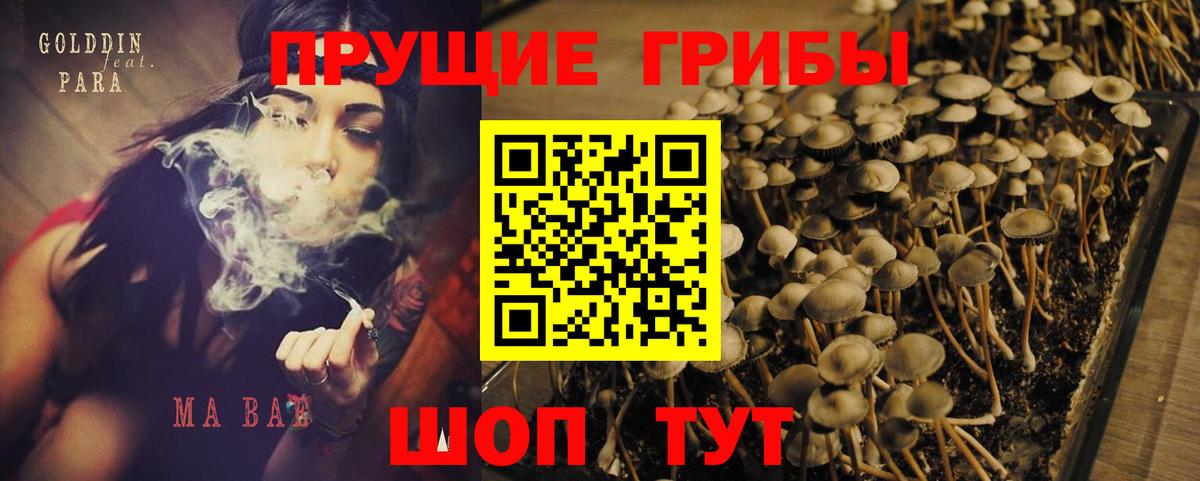 Канск  Галлюциногенные грибы мицелий  Вход с VPN  Галлюциногенные грибы GOLDEN TEACHER 