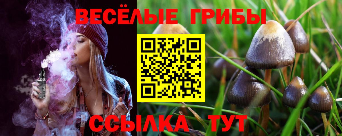 Псилоцибиновые грибы мухоморы Канск