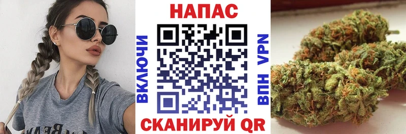 закладки  MEGA   Бошки марихуана семена  Канск 